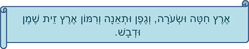 כרזה לחג השבועות 3