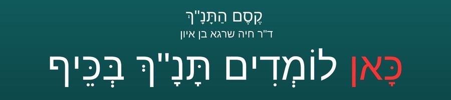 כאן לומדים תנך בכיף 6