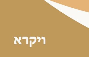 sharonhop.be@gmail.com