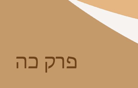 ויקרא פרק כה – שנת שמיטה ושנת יובל