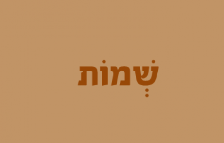 פרשת השבוע לילדים – שמות