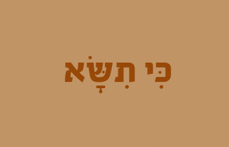 פרשת השבוע לילדים – כי תישא